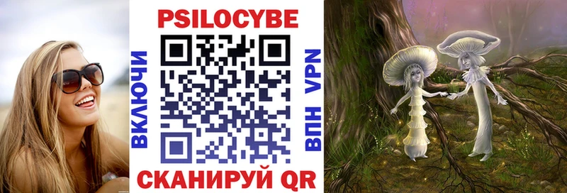 Галлюциногенные грибы Psilocybine cubensis  Приволжский 